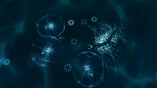 Sparkle Zero Steam CD Key