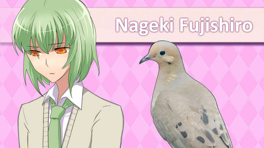 Hatoful Boyfriend Steam CD Key