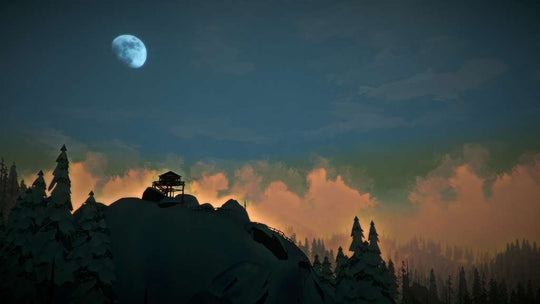 The Long Dark PC Steam CD Key