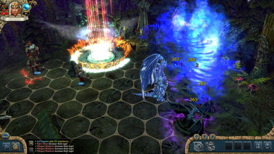 King's Bounty: Warriors of the North - Ice and Fire DLC Steam CD Key