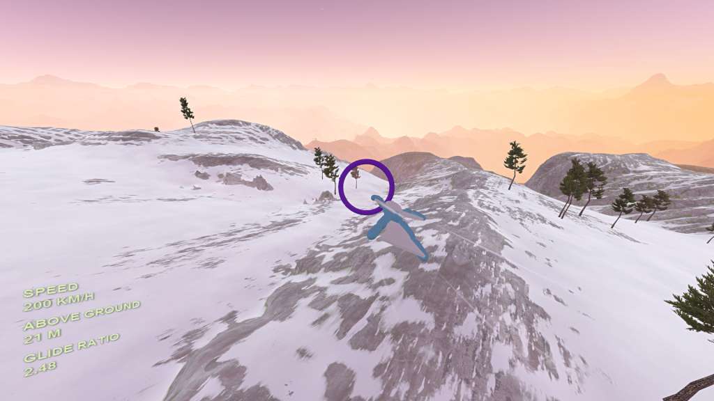 Volo Airsport Steam CD Key