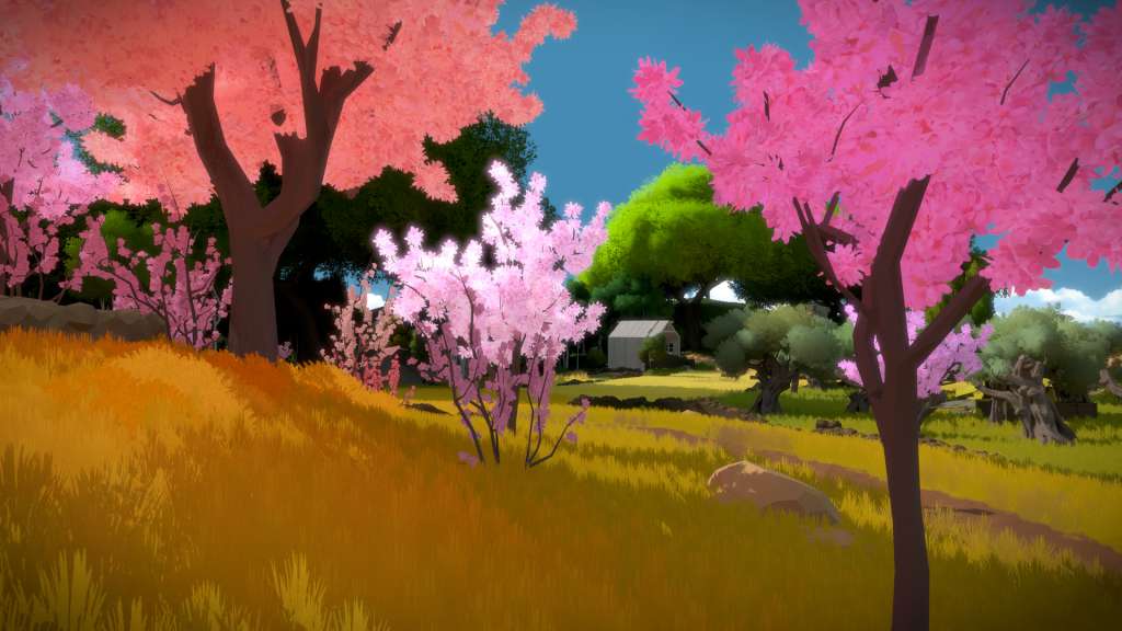 The Witness Steam CD Key