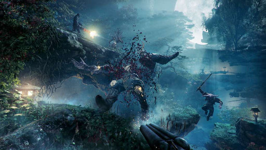 Shadow Warrior 2 EU Steam CD Key