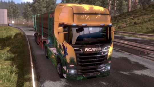 Euro Truck Simulator 2 - Brazilian Paint Jobs Pack DLC Steam CD Key