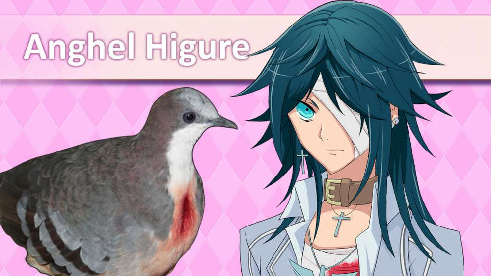 Hatoful Boyfriend Steam CD Key