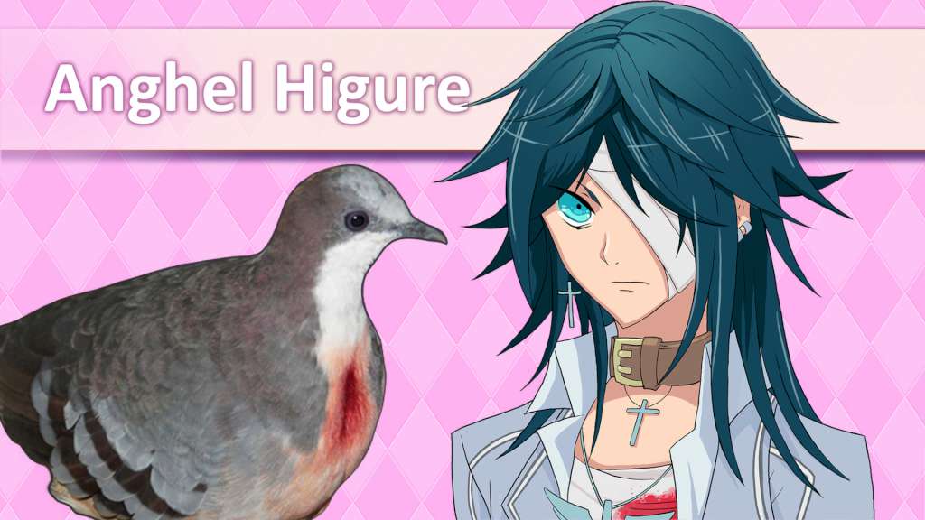 Hatoful Boyfriend Steam CD Key