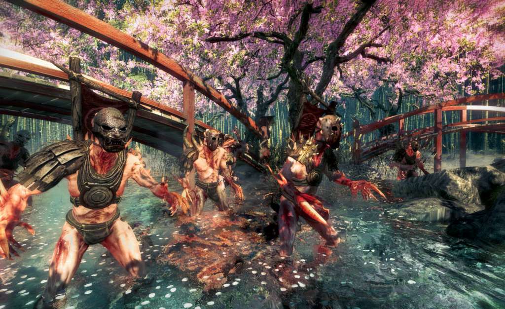 Shadow Warrior Special Edition EU Steam CD Key