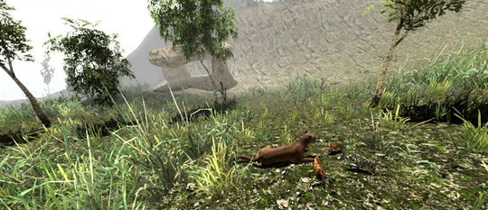Untamed: Life of a Cougar Steam CD Key
