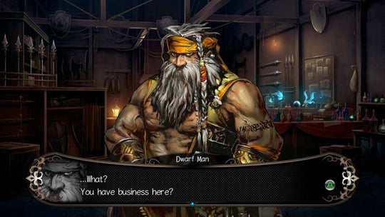Stranger of Sword City PC Steam CD Key