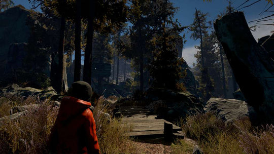 Through the Woods: Collector's Edition Steam CD Key