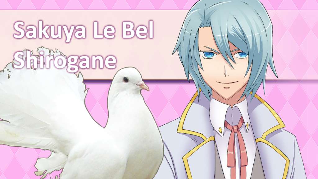 Hatoful Boyfriend Steam CD Key