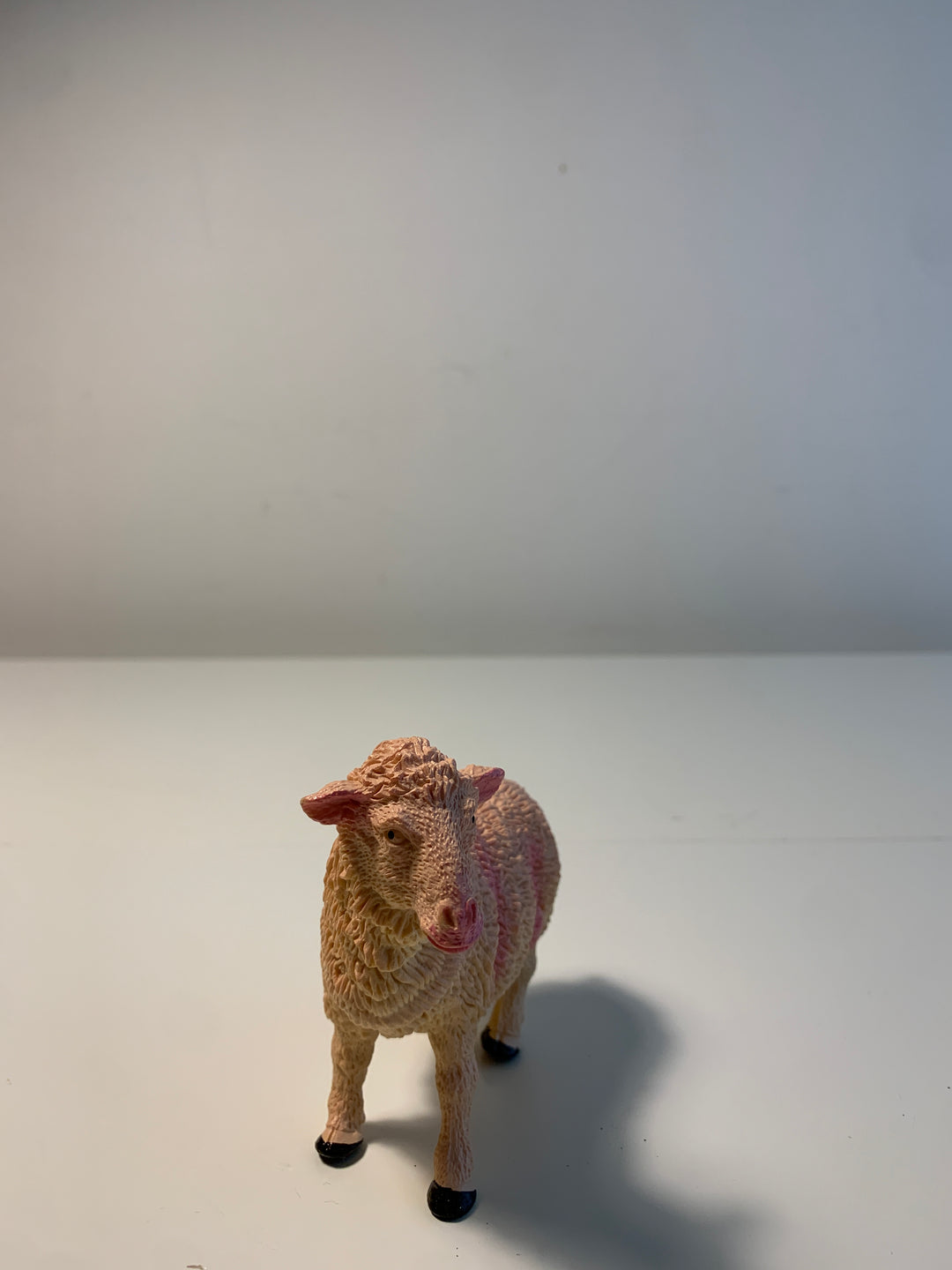 Sau figur