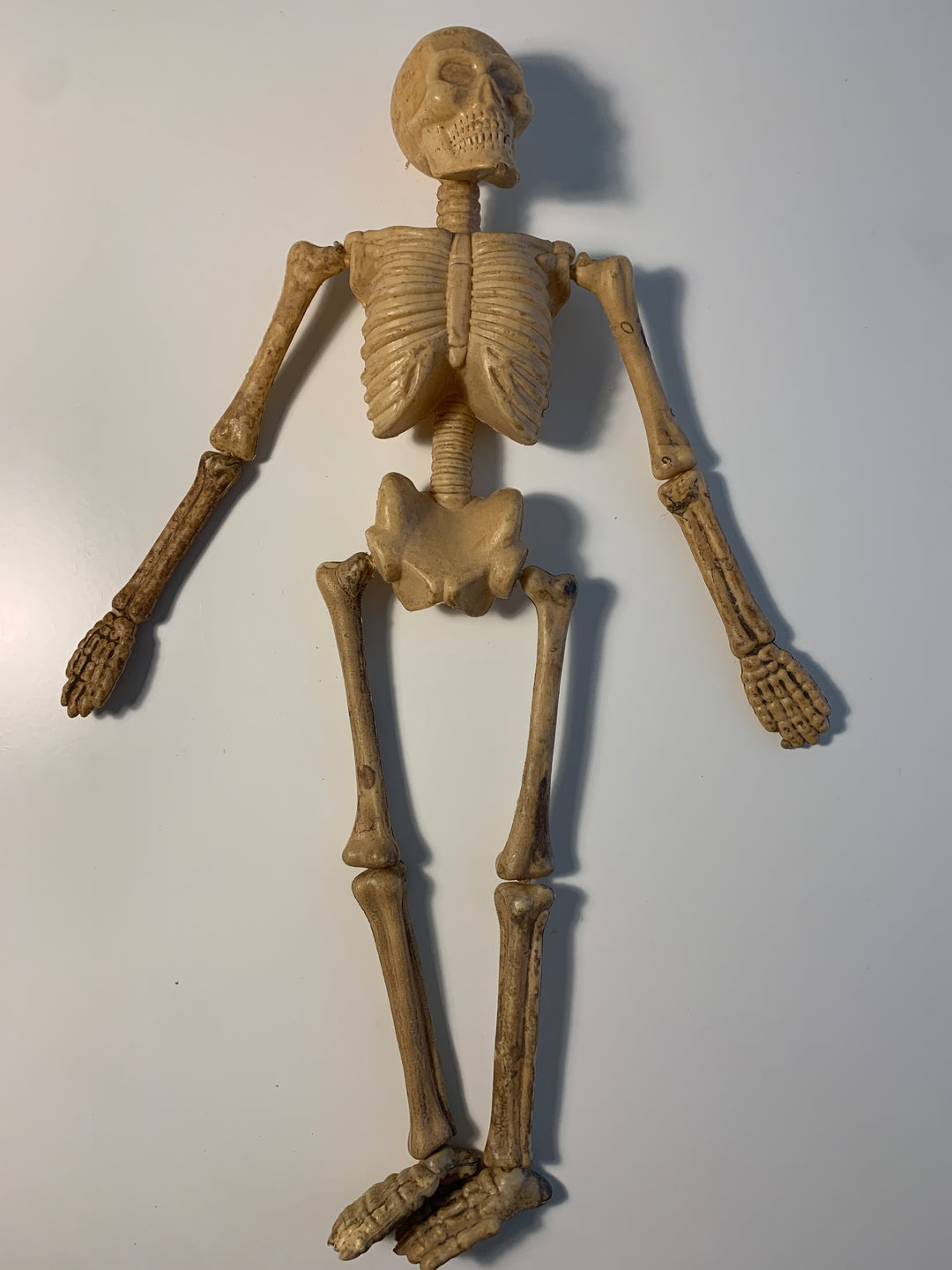Bevegelig skjelettfigur