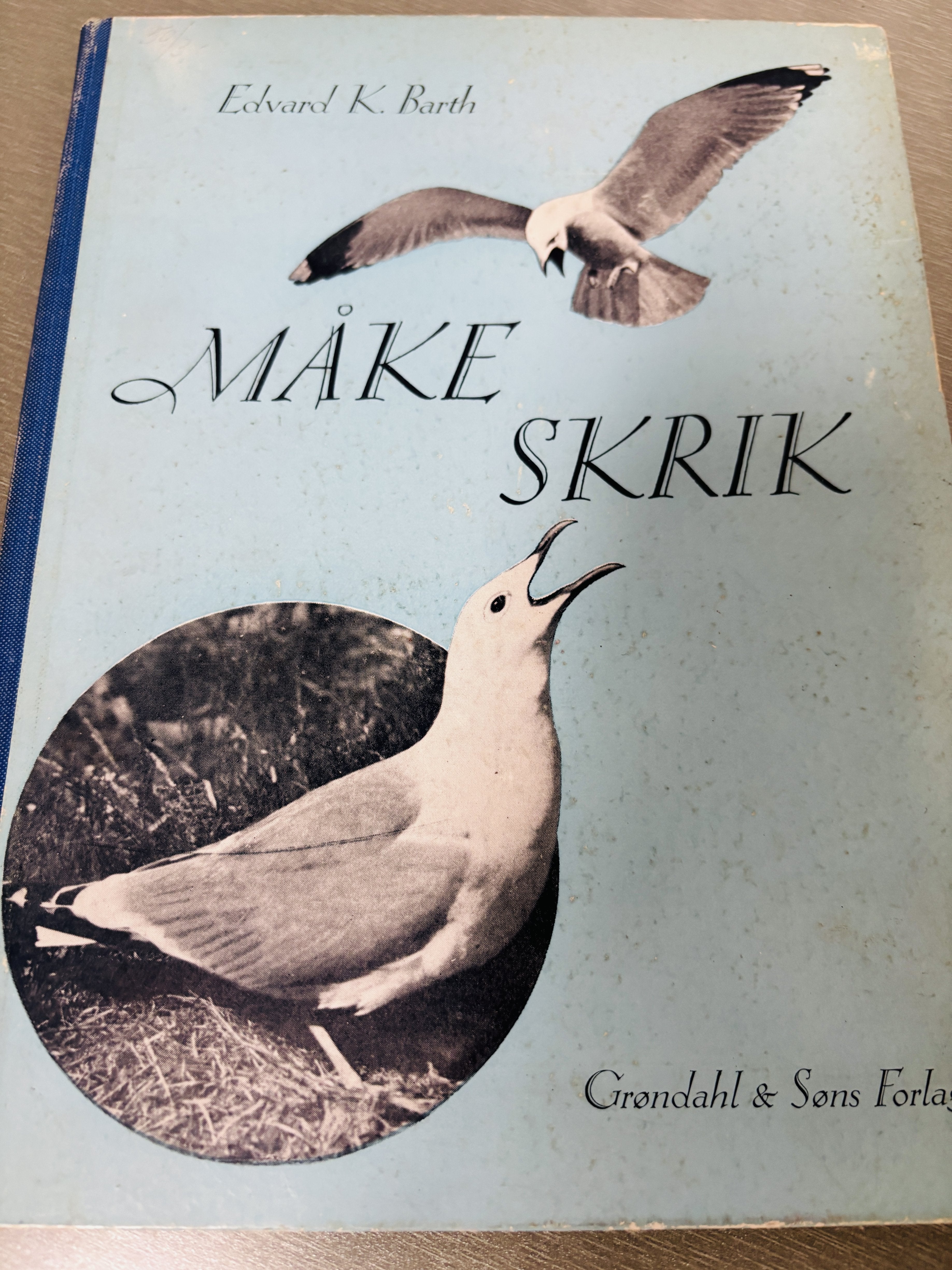 Edvard K. Barth. Måkeskrik