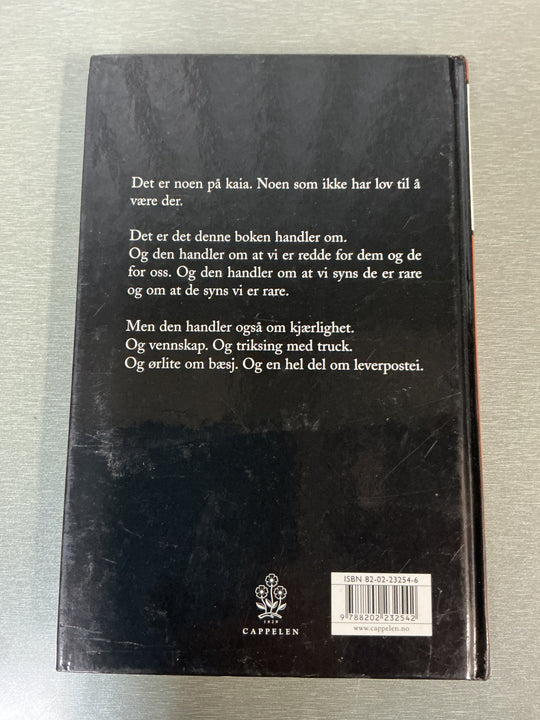 Erlend Loe. Kurt koker hodet. Bok.