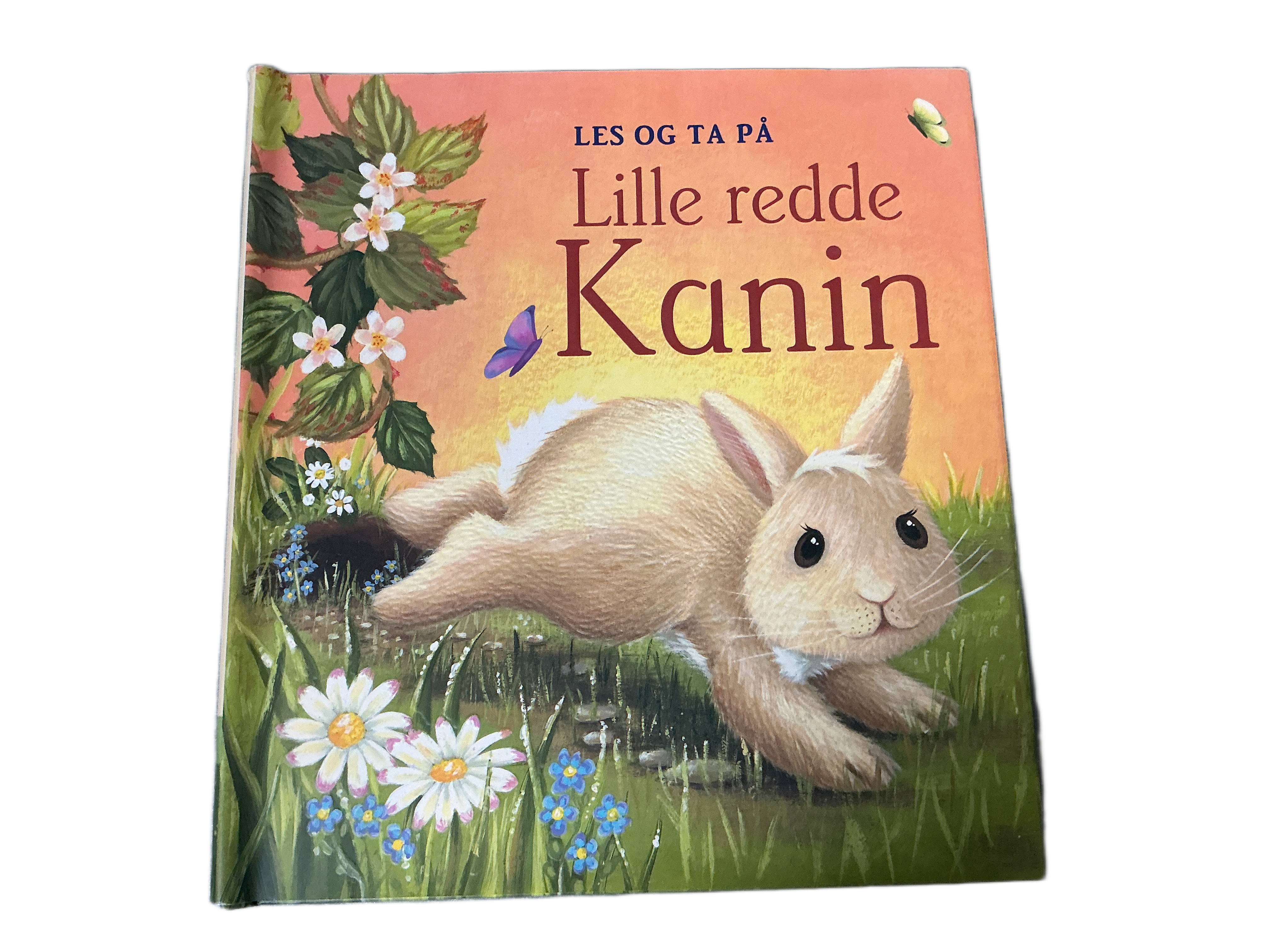 Lille redde Kanin. Bok.