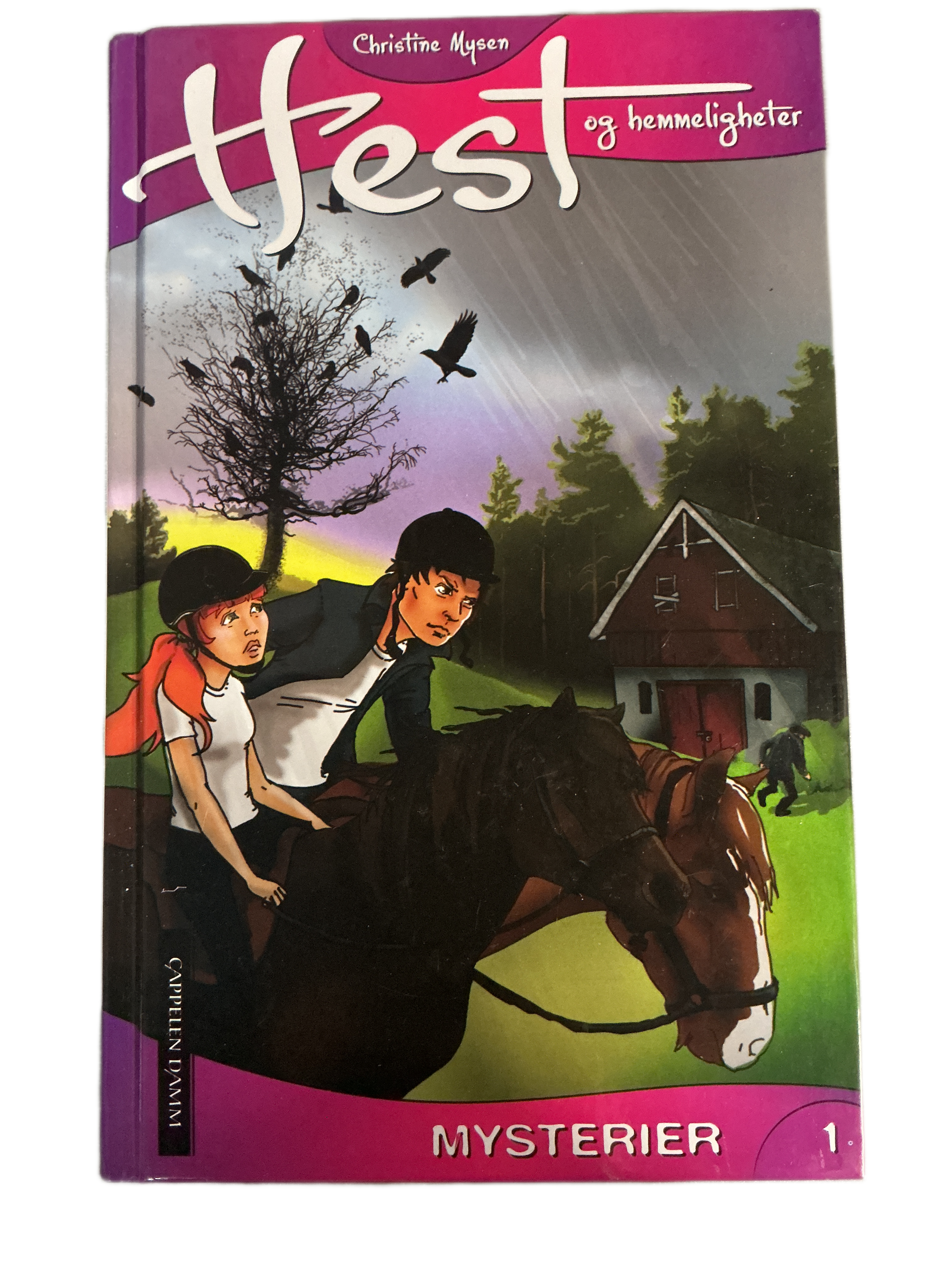 Hest og hemmeligheter: Mysterier 1. Christine Mysen. 2011. Bok.