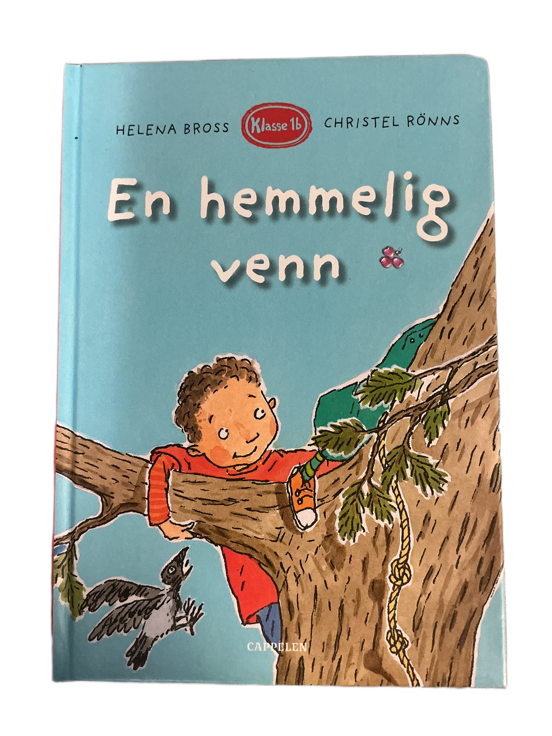 En hemmelig venn. Helena Bross. 2007. Bok.
