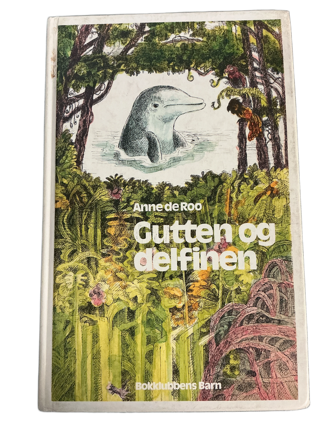 Anne de Roo, 1981, Gutten og delfinen. Bok.
