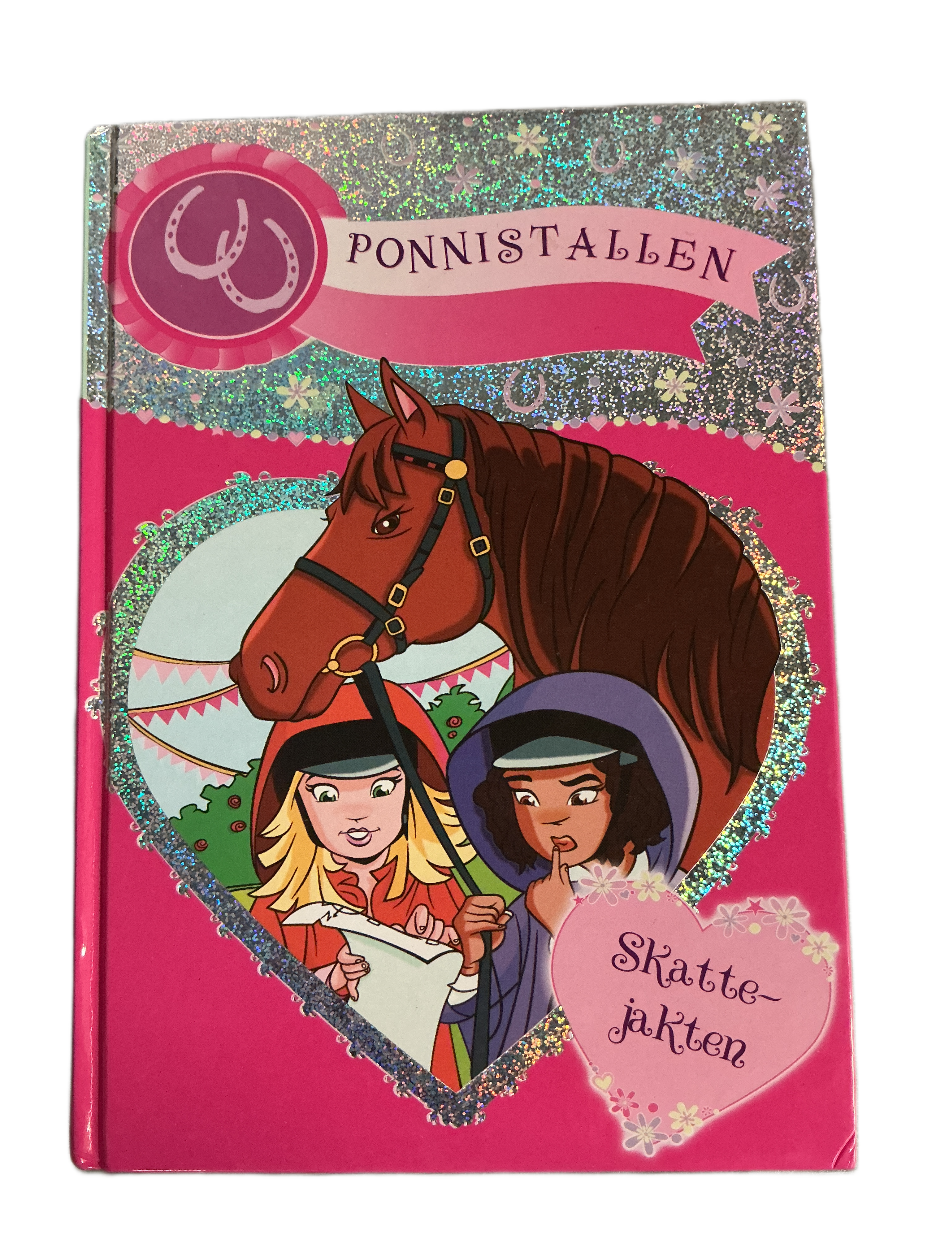 Ponnistallen. 2009. Skattejakten. Bok.