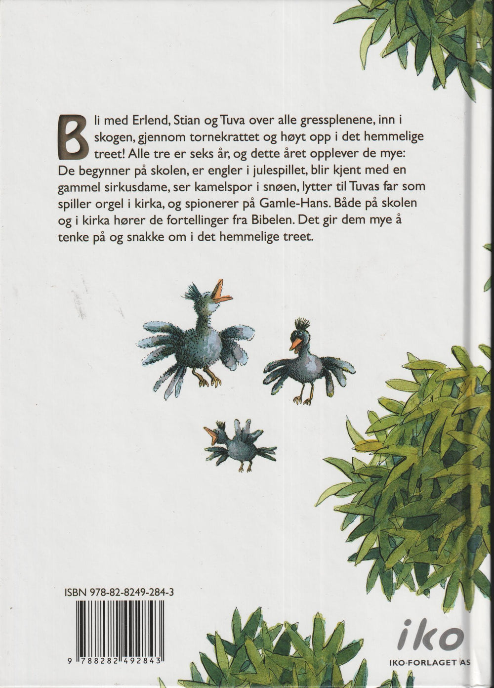 Runar Bang. 2012. Tre i et tre (6-årsboka). Bok.