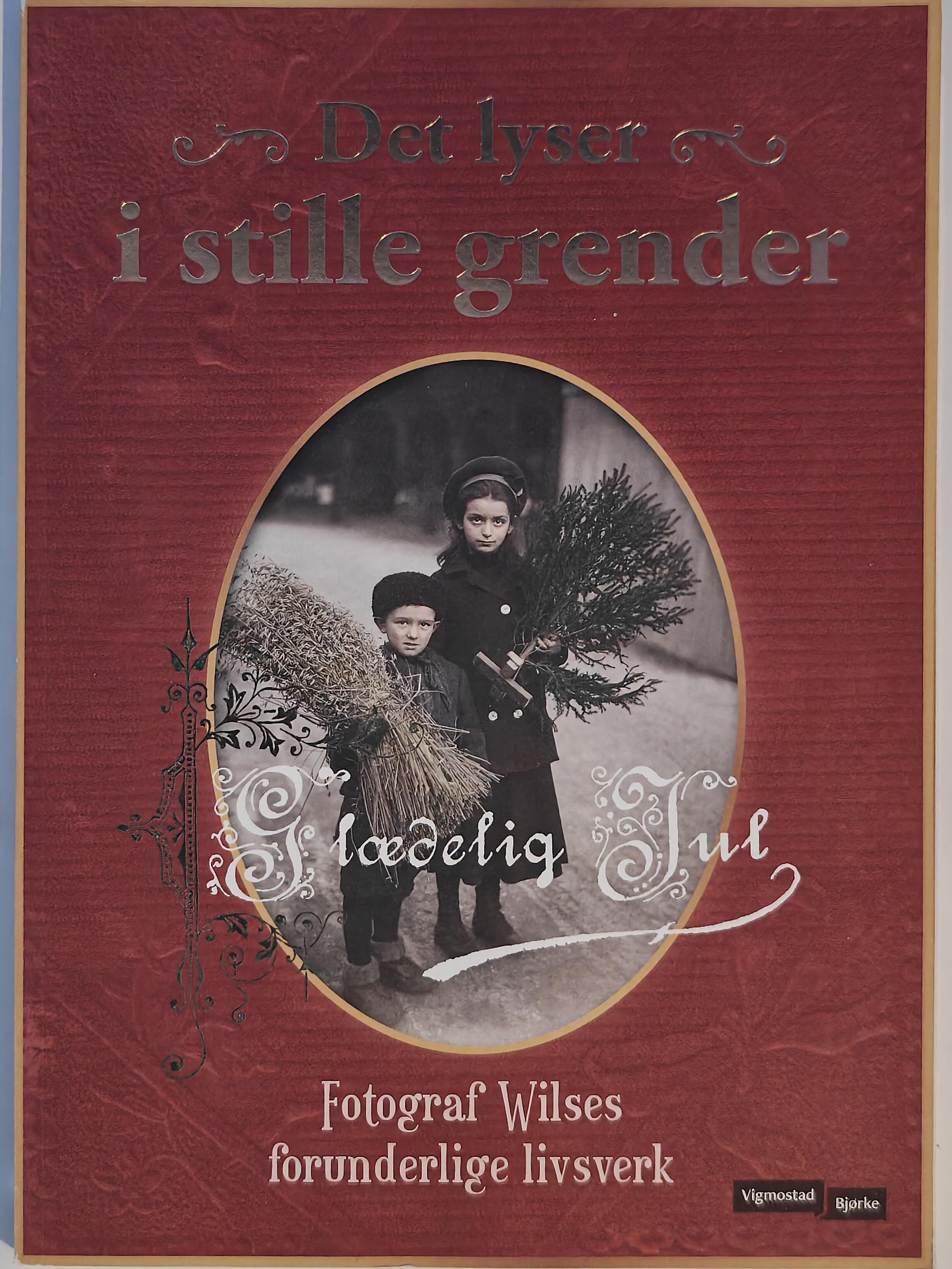 Det lyser i stille grender: Julebok. Bok.