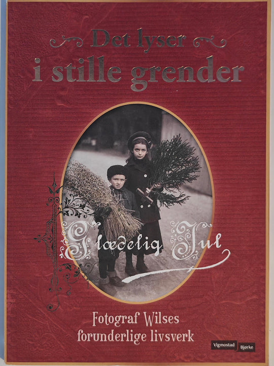 Det lyser i stille grender: Julebok. Bok.