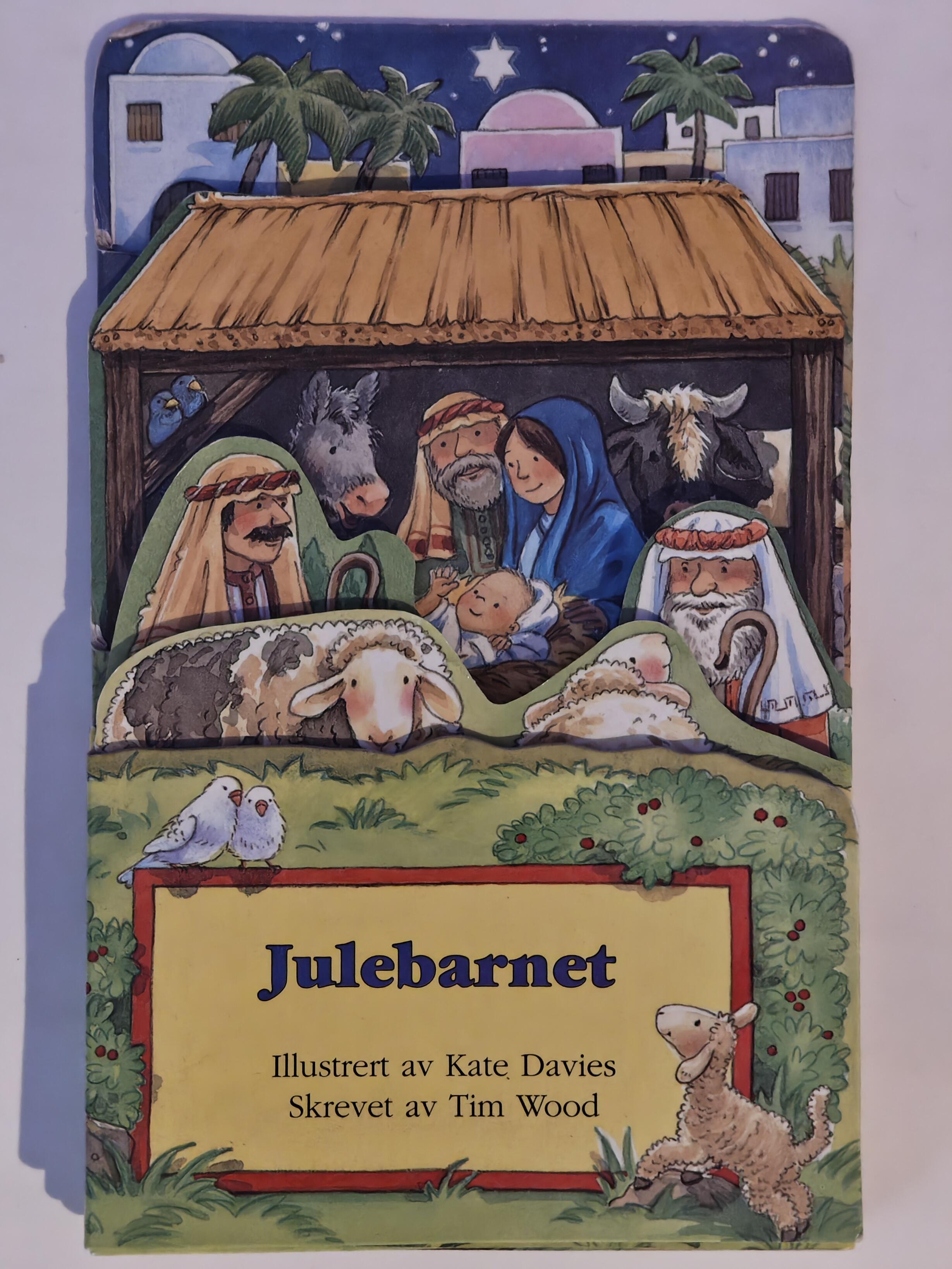 Tim Wood. 2007. Julebarnet. Bok.