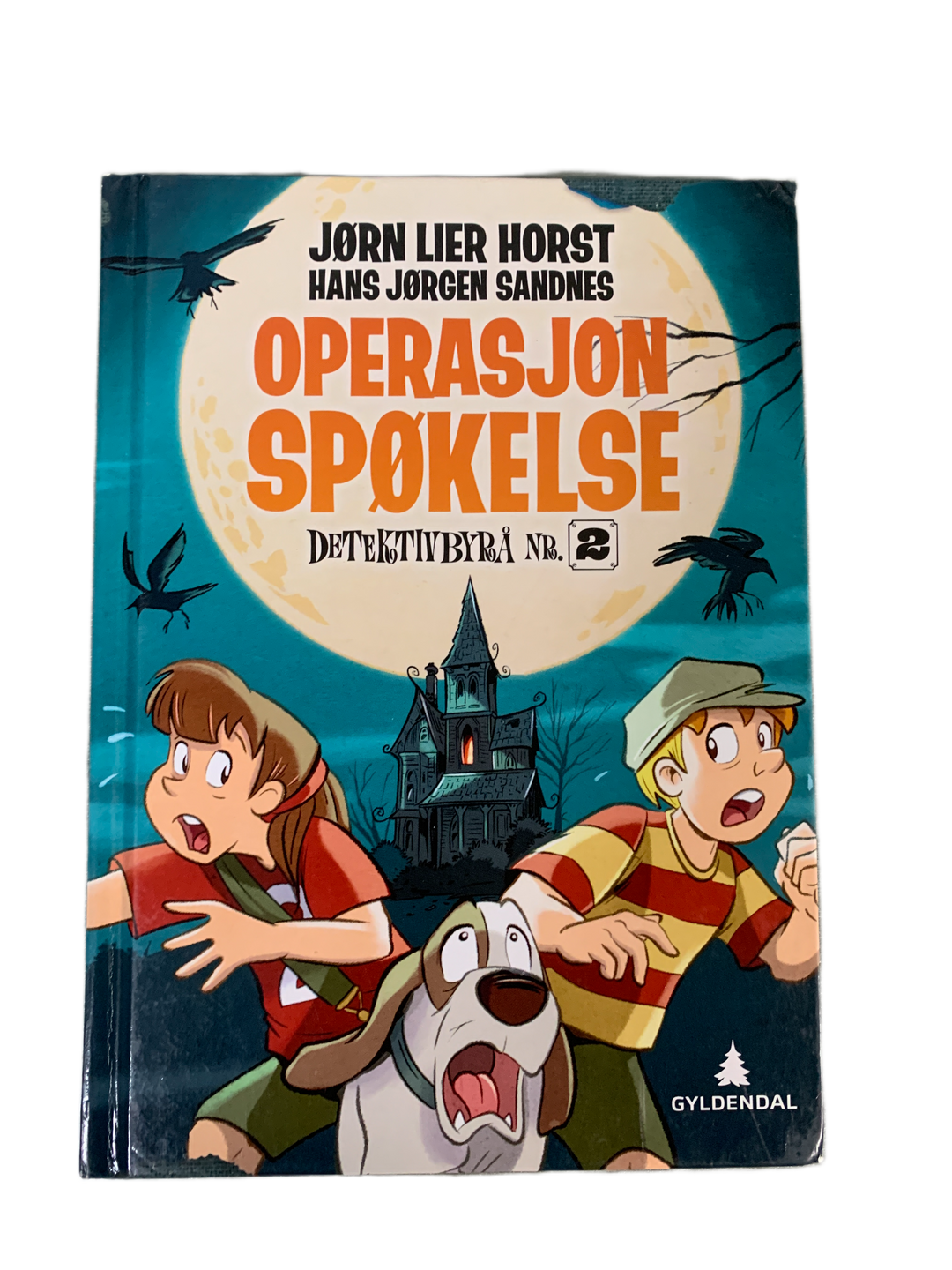 Jørn Lier Horst & Hans Jørgen Sandnes. 2016. Operasjon Spøkelse. Bok.
