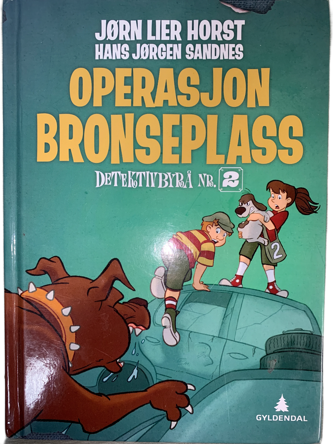 Jørn Lier Horst og Hans Jørgen Sandnes. 2014. Operasjon Bronseplass. Bok.