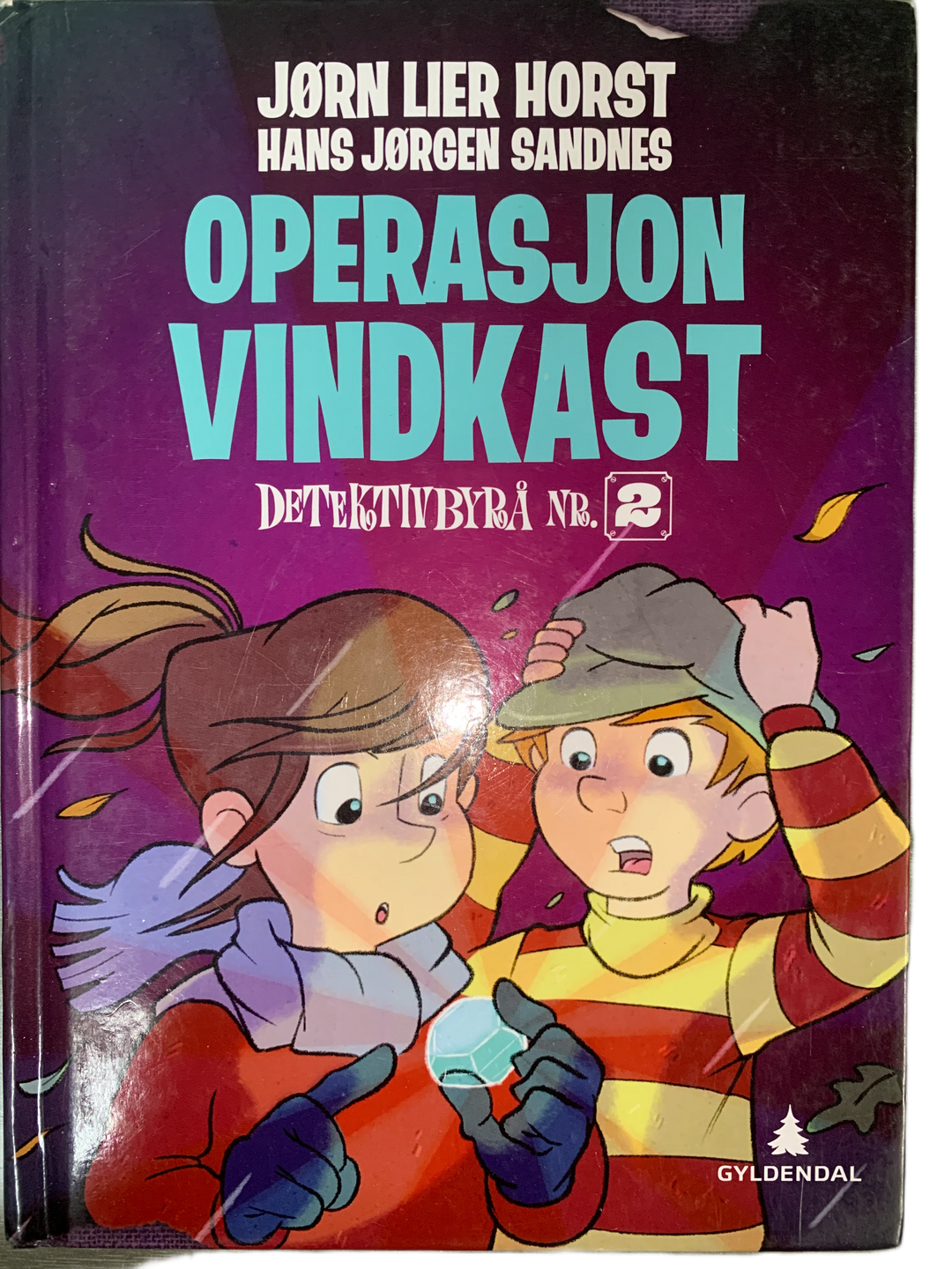 Jørn Lier Horst og Hans Jørgen Sandnes. 2015. Operasjon Vindkast. Bok.