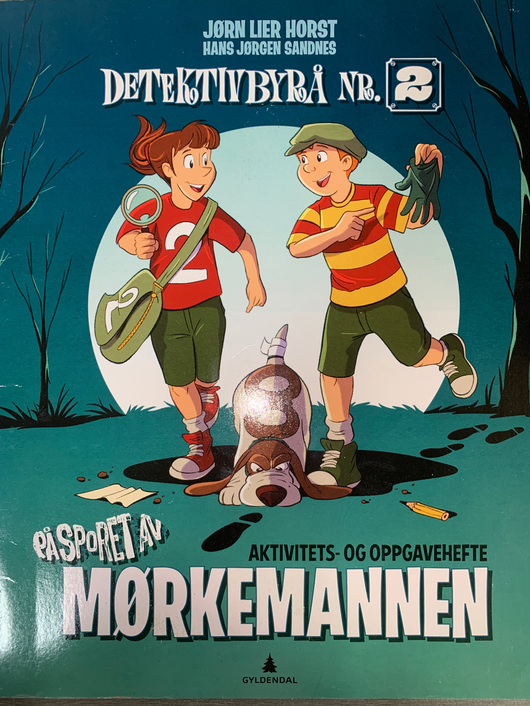 Jørn Lier Horst og Hans Jørgen Sandnes. 2018. På sporet av Mørkemannen. Bok.