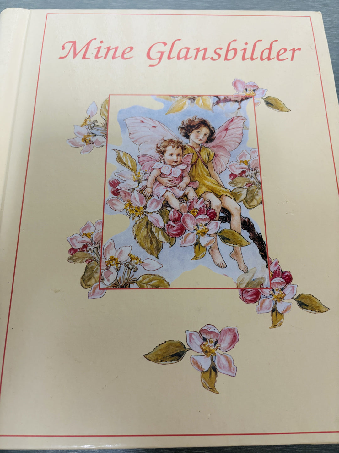 Mine glansbilder. Bok.