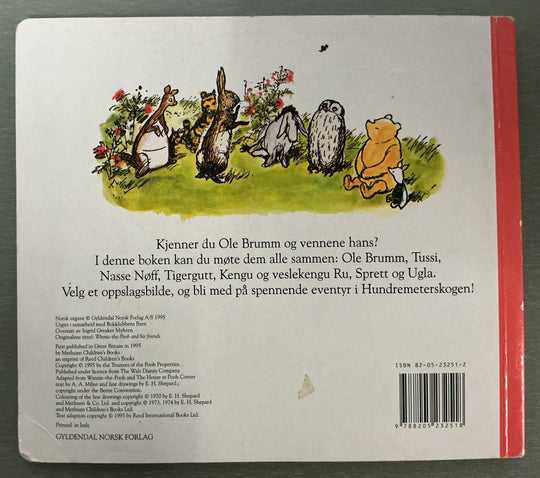 A.A. Milne. 1995. Ole Brumm og vennene hans. Bok.