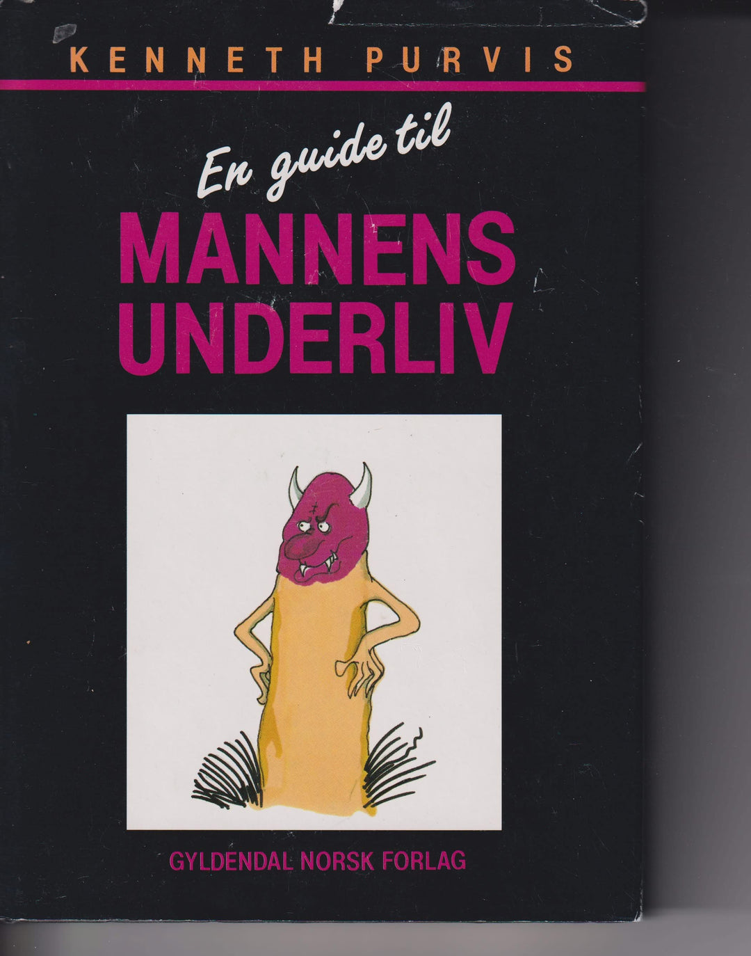 Kenneth Purvis. En guide til mannens underliv. Bok.