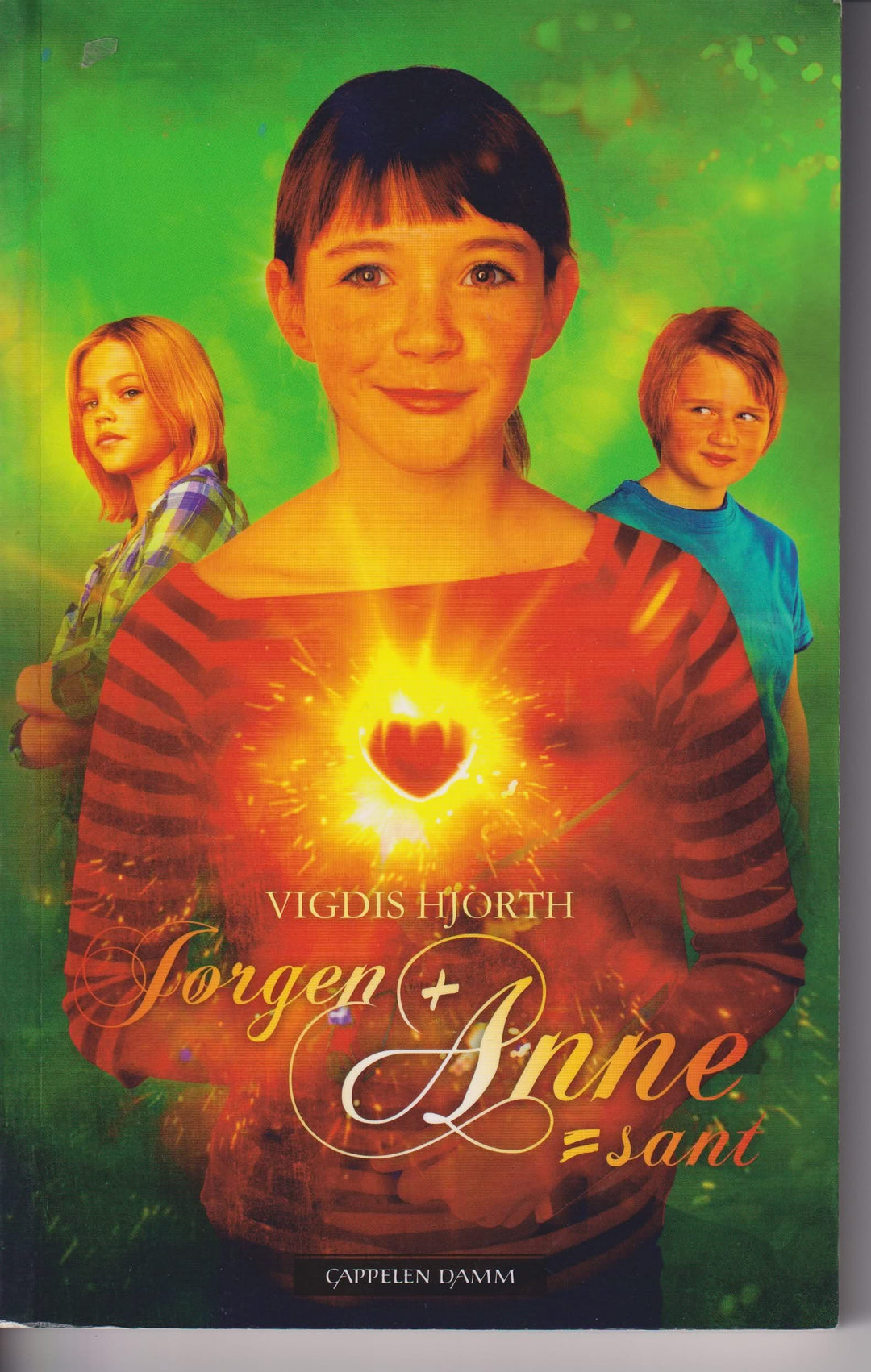 Vigdis Hjorth. Jørgen + Anne = sant. Bok.