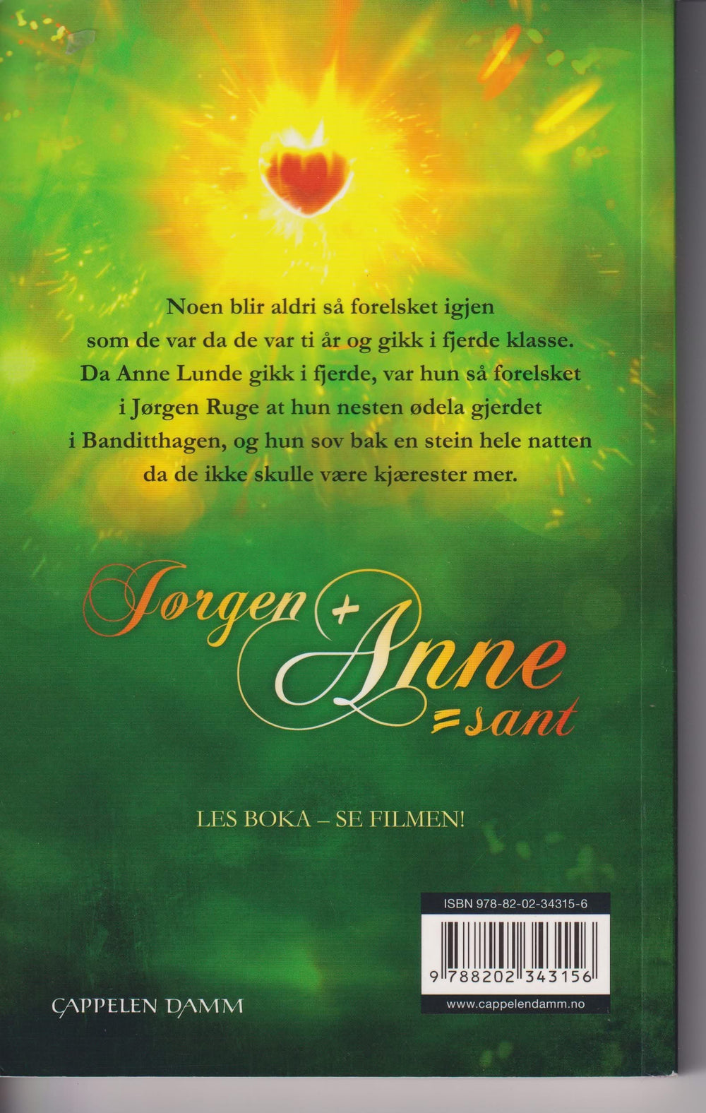 Vigdis Hjorth. Jørgen + Anne = sant. Bok.