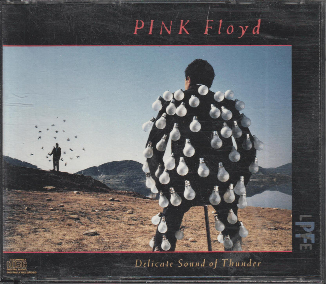 Pink Floyd - Delicate Sound Of Thunder (1988). CD.
