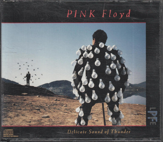 Pink Floyd - Delicate Sound Of Thunder (1988). CD.