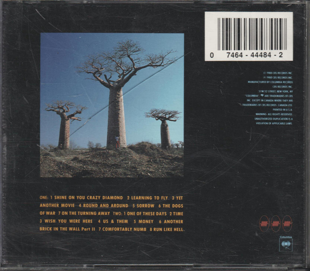 Pink Floyd - Delicate Sound Of Thunder (1988). CD.