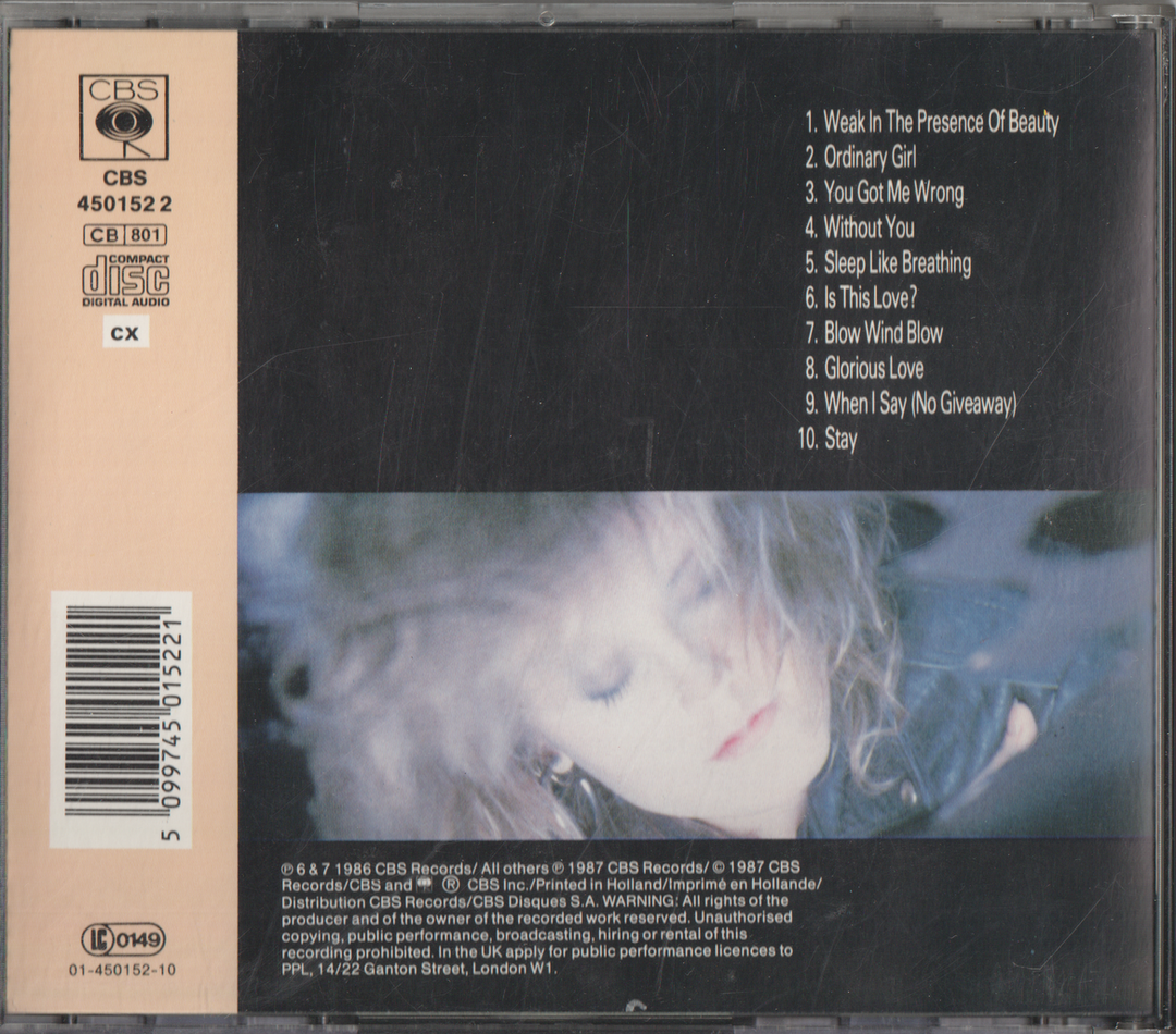 Alison Moyet - Raindancing. 1987. CD.