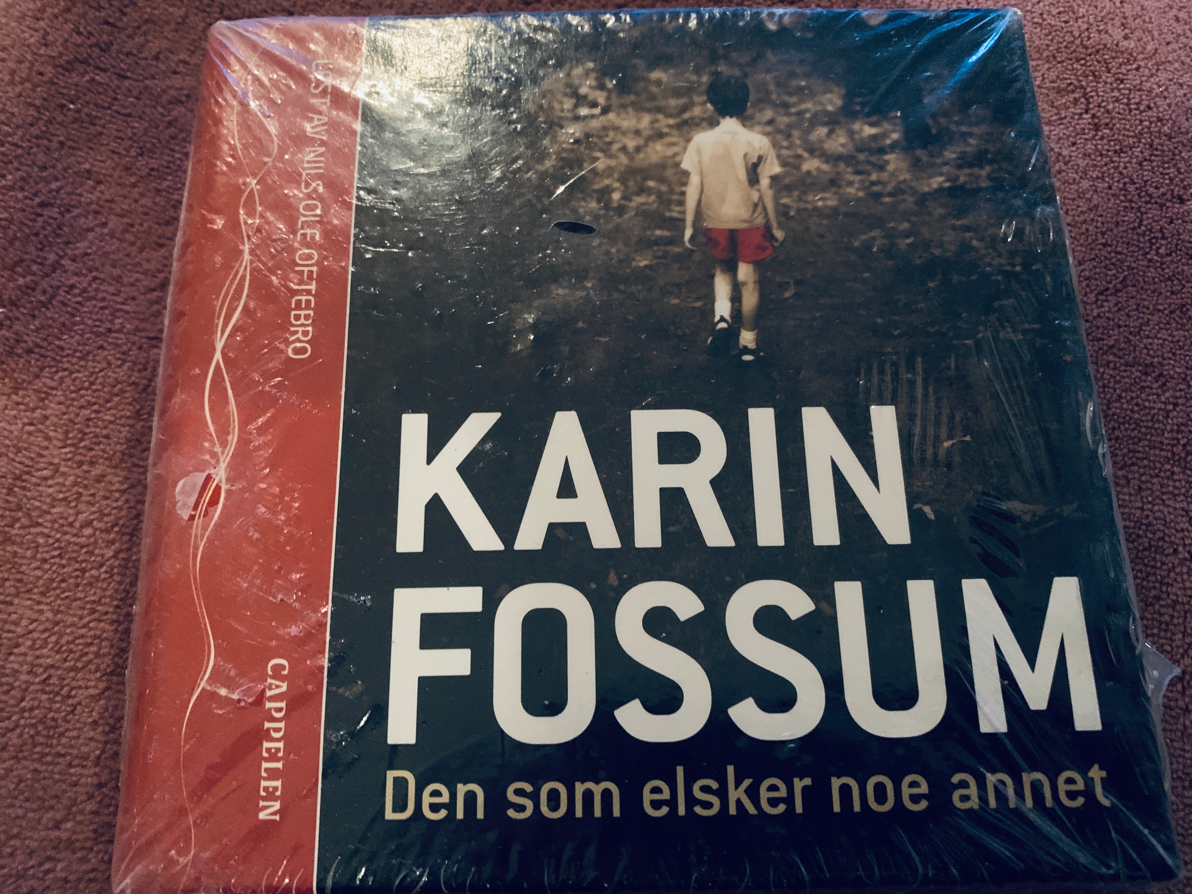 Den som elsker noe annet. Lydbok.