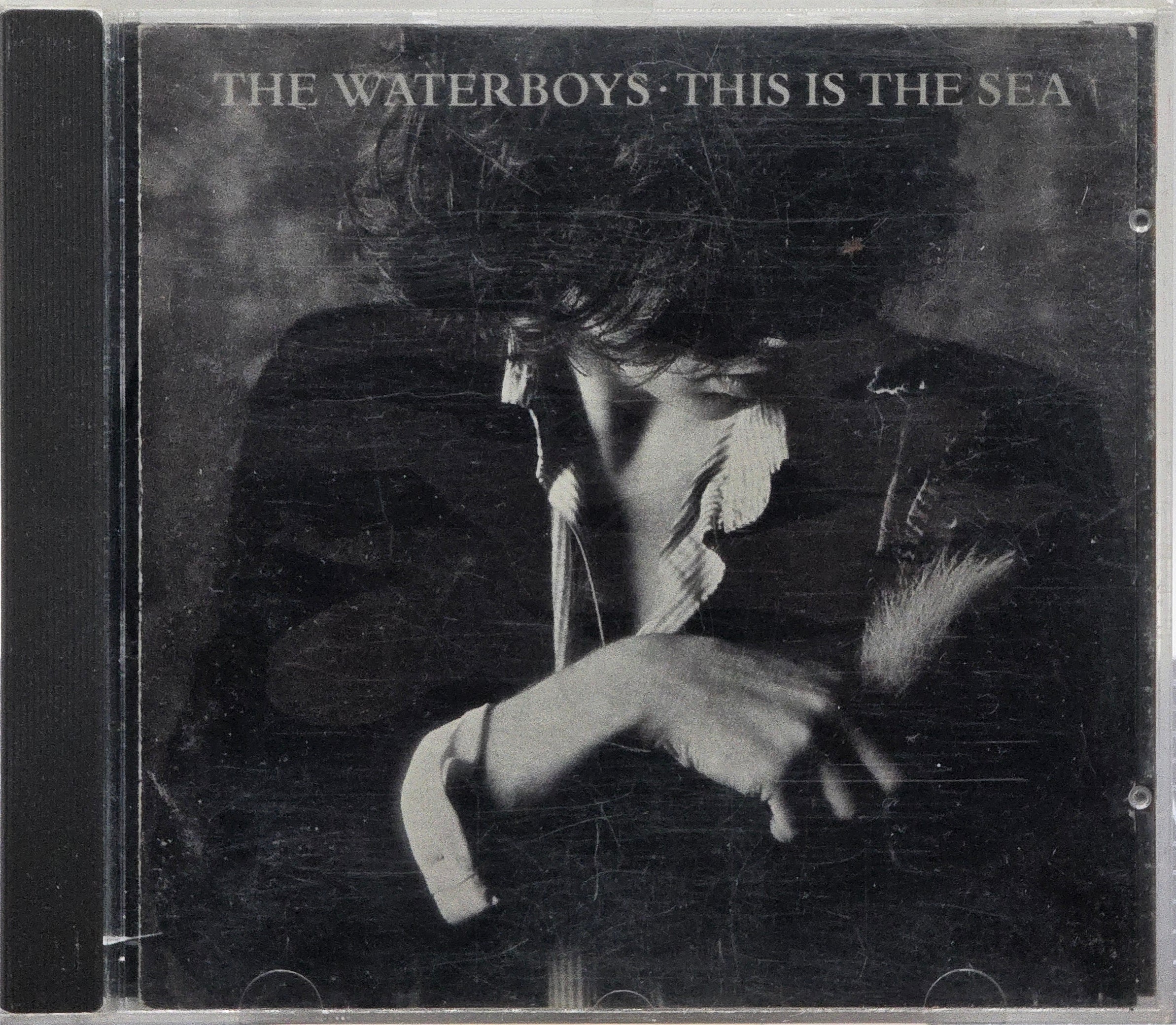 The Waterboys. This Is the Sea. 1985. Musikk-CD.