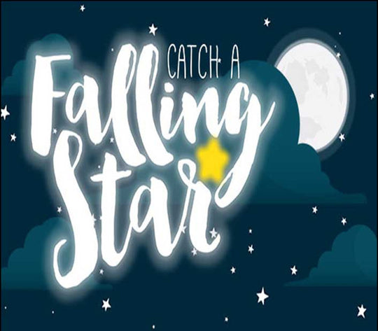 Catch a Falling Star PC Steam CD Key