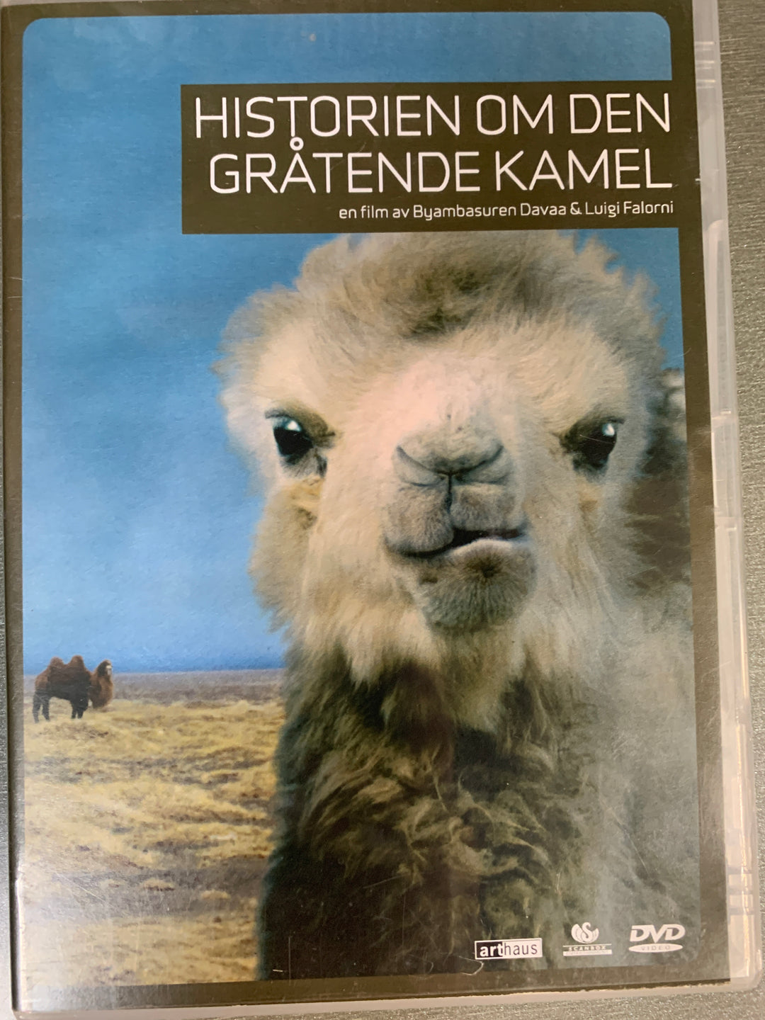 Historien om den gråtende kamel. DVD.