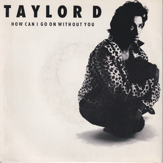 Taylor Dayne (1991) - How Can I Go On Without You. EP-plate.