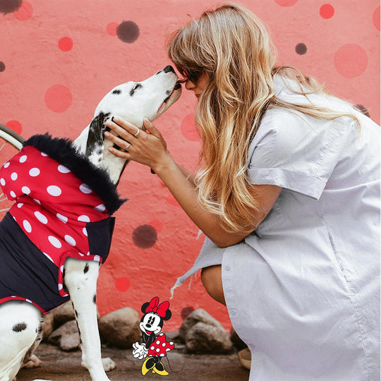 MINNIE - Dog Coat - XXS