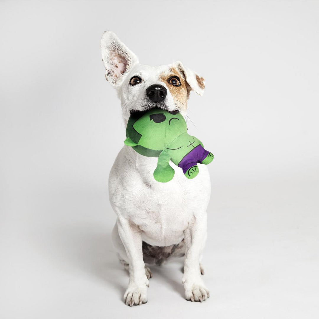 MARVEL - Hulk - Stuffed Dog Toy