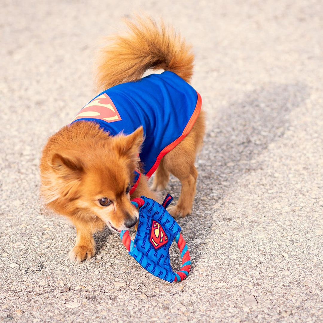 SUPERMAN - Rope Theething Toy for Dog