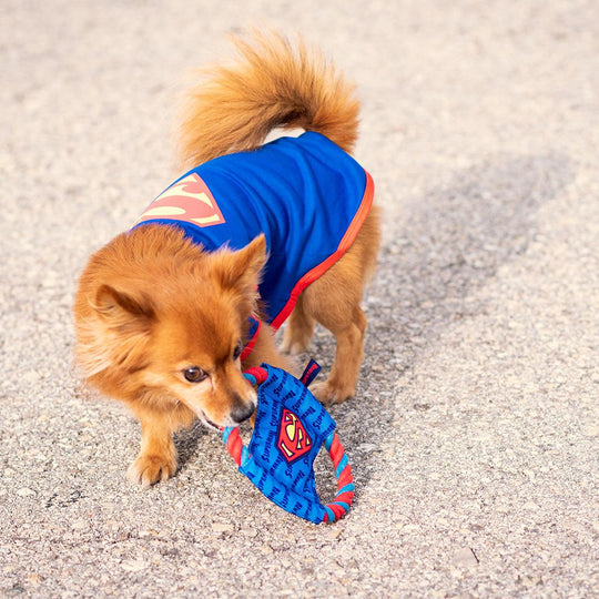 SUPERMAN - Rope Theething Toy for Dog
